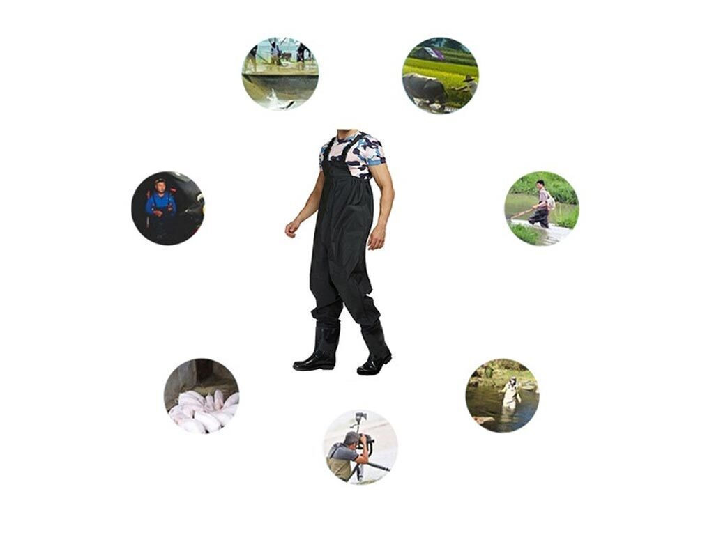 /